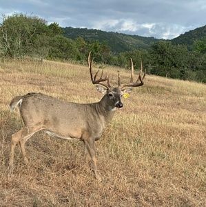 Meet your Posher, Joel